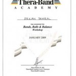 Thera-Band Academy Egzersizleri