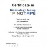 Pinotape (Kinesiology) Bantlama Yöntemi BASIC sertifikası